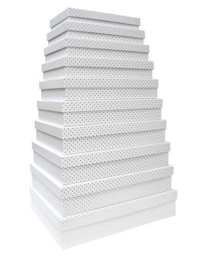 Набор из десяти плоских прямоугольных подарочных коробок белого цвета, отделка матовой бумагой с тиснением серебряными точками, размер 46*36,5*10 см.
