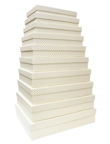 Набор из десяти плоских прямоугольных подарочных коробок молочного цвета, отделка матовой бумагой с тиснением серебряными точками, размер 46*36,5*10 см.