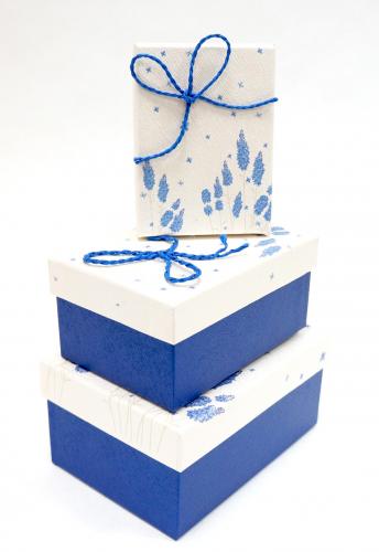 Набор подарочных коробок А-9308-5 (Синий)